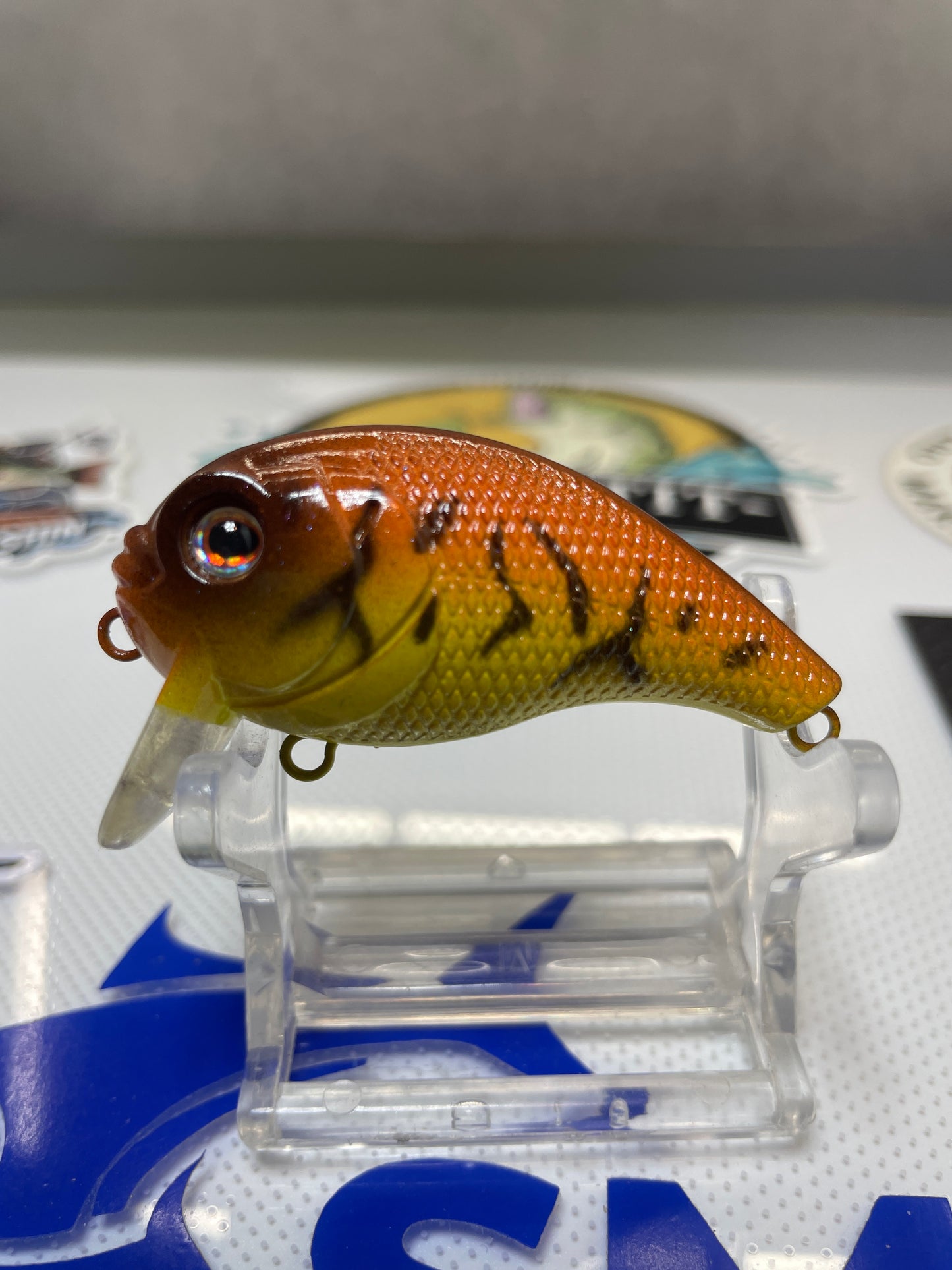 2” mini wake